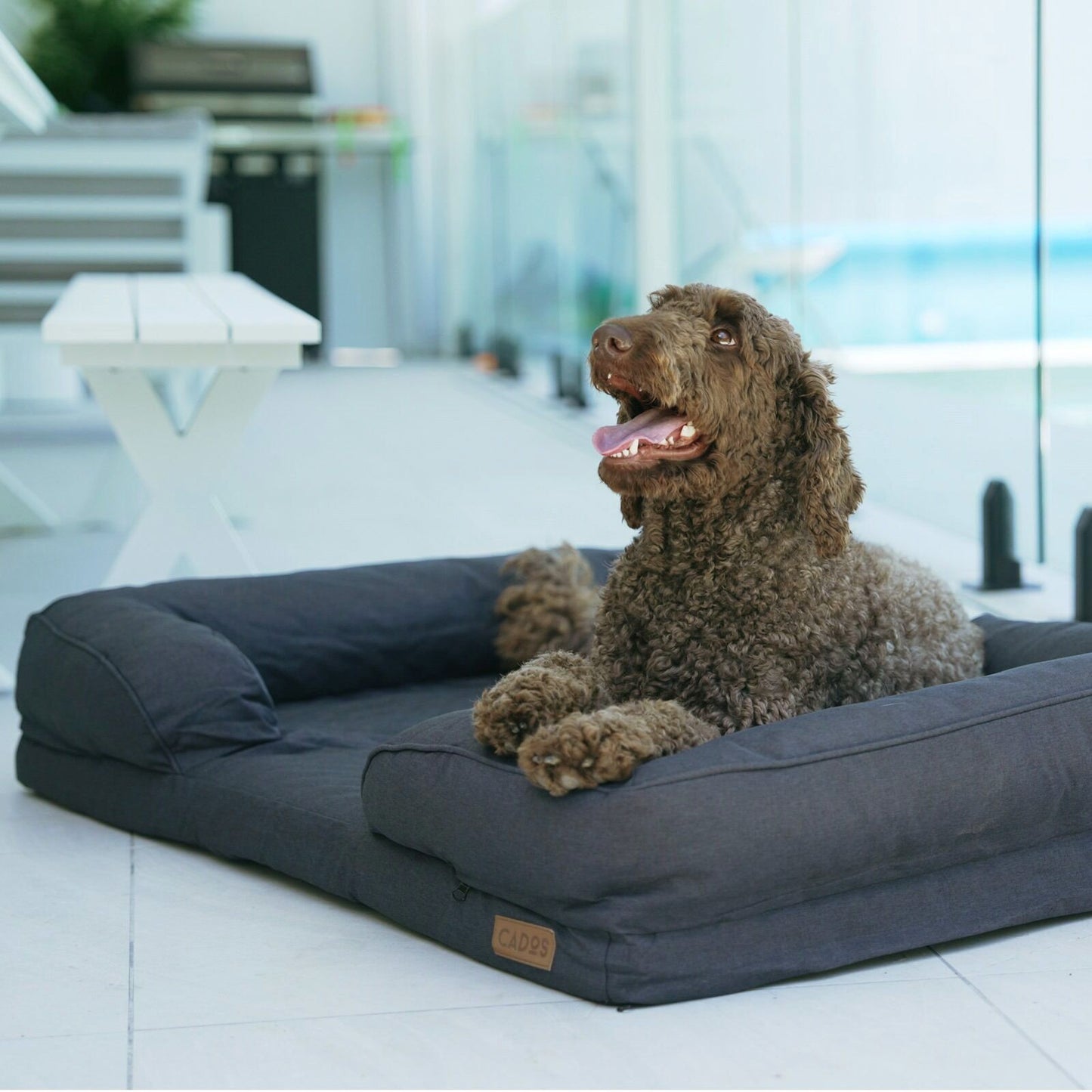 CADoS Easy Care Orthopaedic Support Mattress Charcoal Grey For Dogs