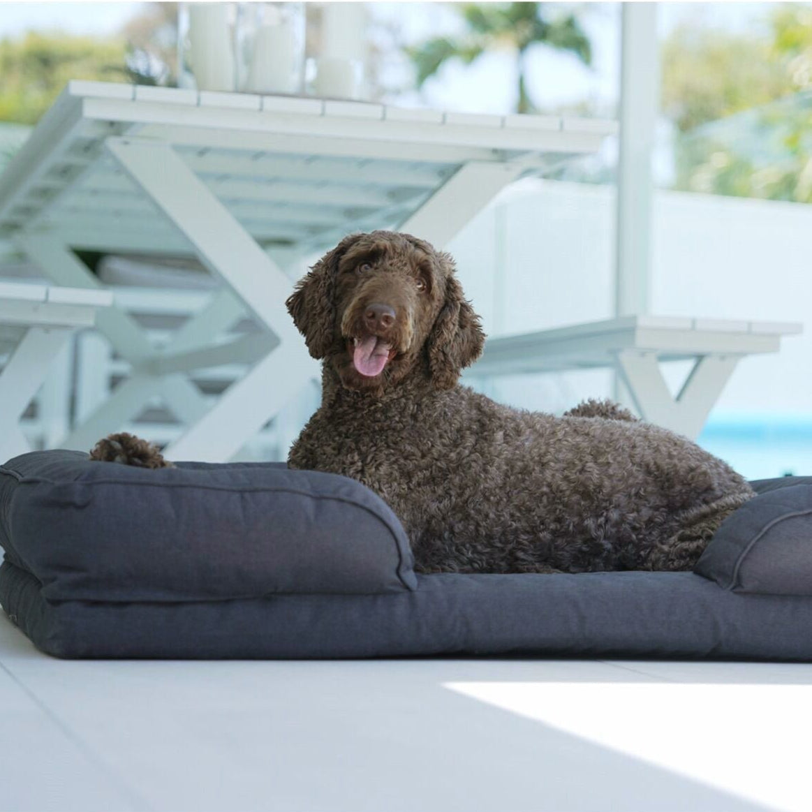 CADoS Easy Care Orthopaedic Support Mattress Charcoal Grey For Dogs