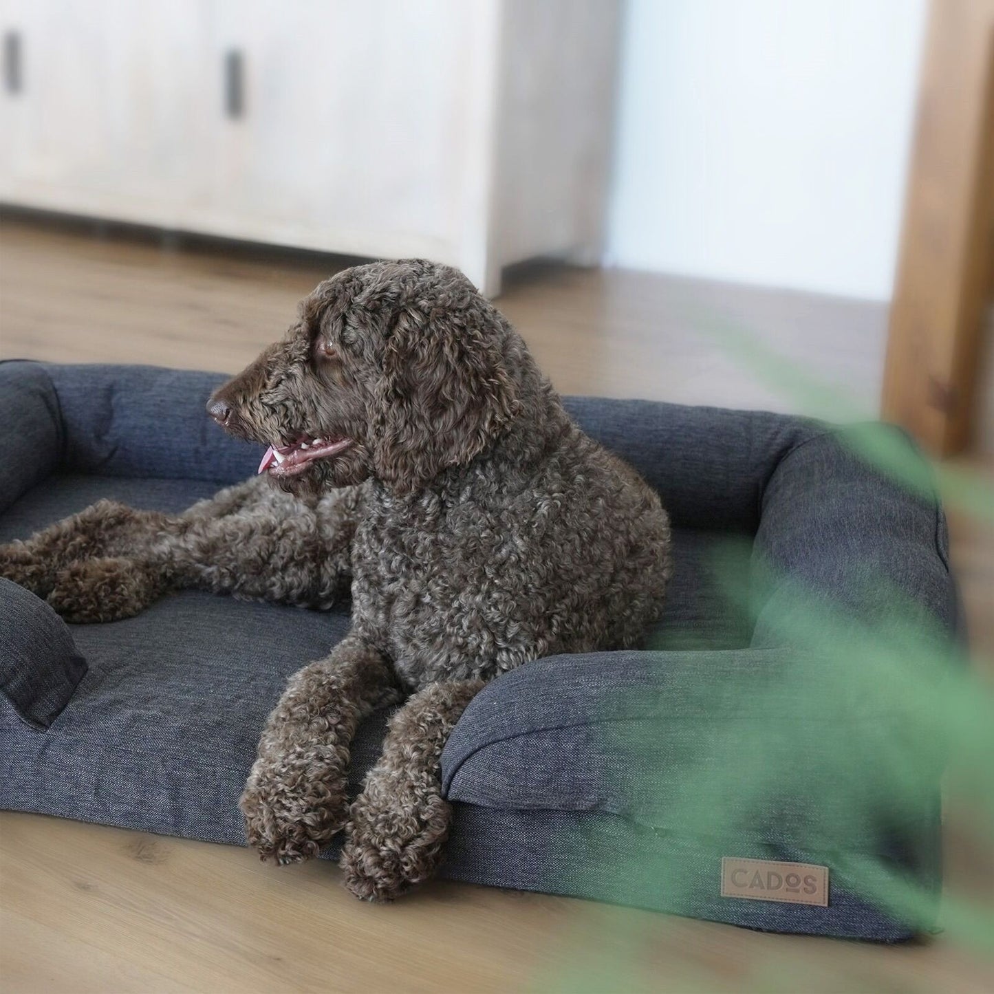 CADoS Summer Style Orthopaedic Support Mattress Dog Bed - Charcoal Grey