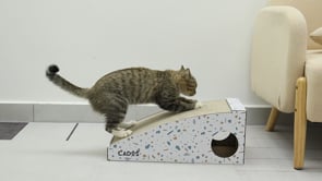 CADoS Contour Double Sided Convex And Concave Premium Cardboard Scratcher For Cats